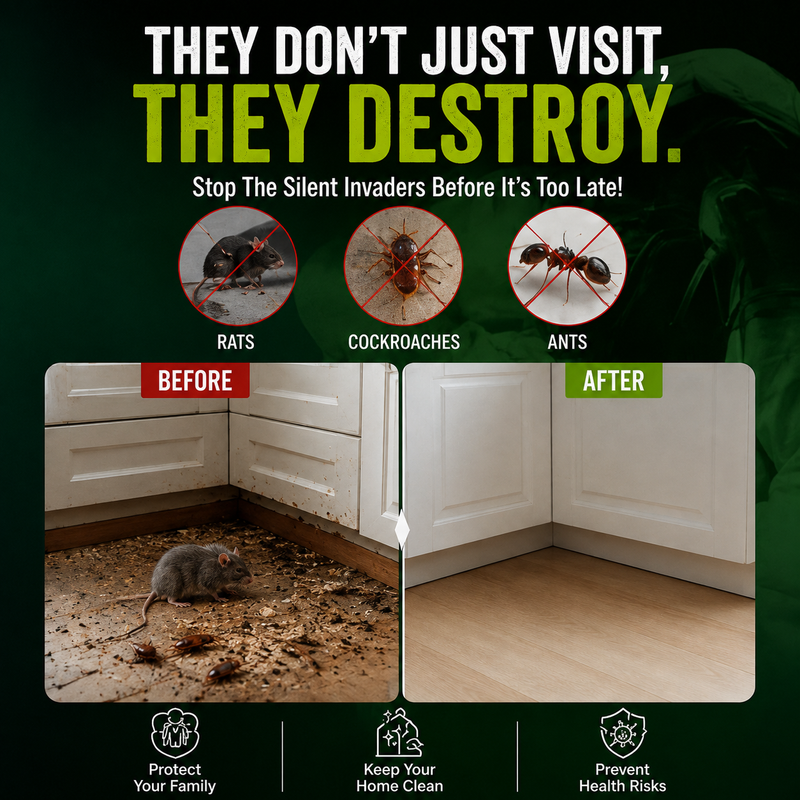 🛡️ Protects Your Home & Family